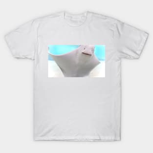 Smiling Ray T-Shirt